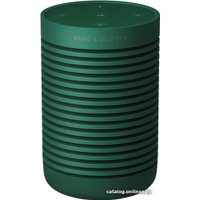 Беспроводная колонка Bang & Olufsen Beosound Explore (зеленый)