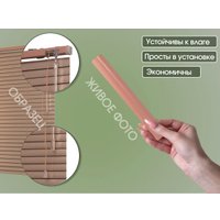 Жалюзи горизонтальные АС МАРТ 100п 100x160 (терракотовый)