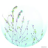 Набор тарелок Luminarc Simply Trompette Turquoise V2715 (44 пр)