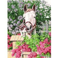 Картина по номерам Белоснежка Нежная привязанность 3075-CS