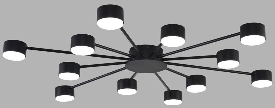 

Припотолочная люстра Lumion Torina 8344/12C