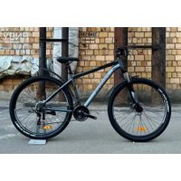 Велосипед Reborn Ghost 29 р.19 2025 (матовый серый)