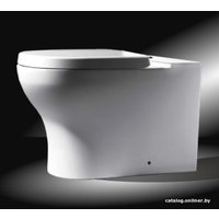 Унитаз напольный Bravat Rael CX01016UW-PA-RUS+CY01016W-PA-RUS