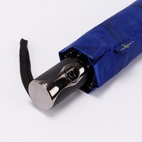 Зонт Rain Berry 734-23332.1 (синий)