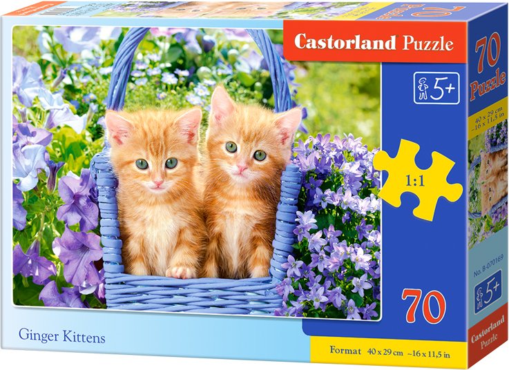 

Пазл Castorland Premium Рыжие котята В-070169 (70 эл)