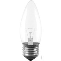Лампочка Navigator NI-B E27 40 Вт [NI-B-40-230-E27-CL]