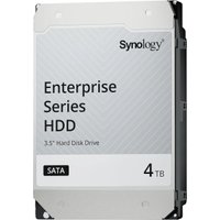 Жесткий диск Synology HAT5320 4TB HAT5320-4T