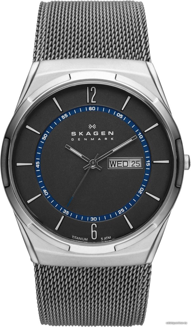 Наручные часы Skagen SKW6078