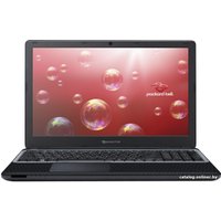 Ноутбук Packard Bell EasyNote TE69HW-29572G32Mnsk (NX.C2EER.009)