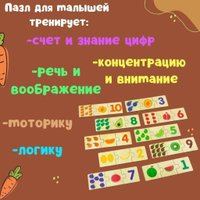 Головоломка Alatoys ПЗЛ32