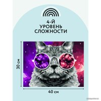 Картина по номерам Три совы Кошачий космос КХ_44089