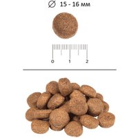 Сухой корм для собак Blitz Adult Senior 15 кг