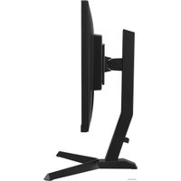 Игровой монитор iiyama G-Master Gold Phoenix GB2590HSU-B1