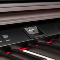 Цифровое пианино Rockdale Fantasia RDP-7088 (розовое дерево)