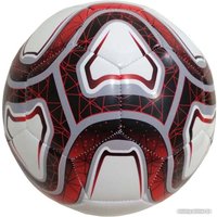 Футбольный мяч Zez Sport FT-1803 (5 размер, в ассортименте)