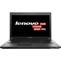 Ноутбук Lenovo B590 (59364297)