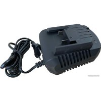 Зарядное устройство Edon OAF21-2400CB 1001010621 (21В)