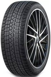 Winter Pro TSS1 225/55R19 99T