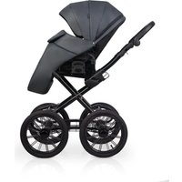 Универсальная коляска Riko Montana X Ecco Prestige 2 В 1 Basic (графит)