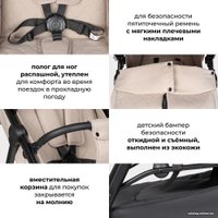 Коляска прогулочная «книга» Costa Vita VT-2 (капучино)