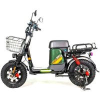 Электровелосипед Favorit DELTA-16