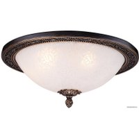 Светильник Maytoni Ceiling & Wall Aritos C906-CL-04-R