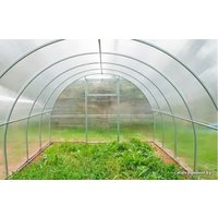 Теплица Сэлмакс Групп ПК Агролюкс 10 м