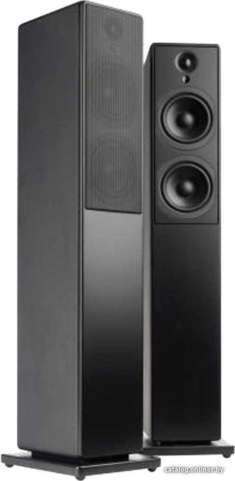 Напольная акустика Blue Aura WS90t (черный)