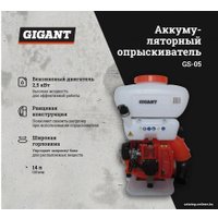 Бензиновый опрыскиватель Gigant GS-05