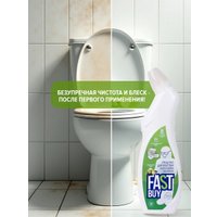 Средство для сантехники FastBuy WC gel Lime (0.75 л)