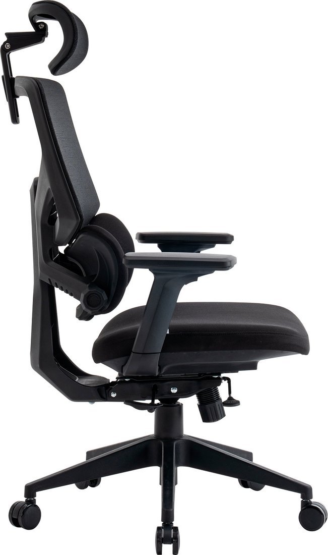 

Офисное кресло Evolution LumbarPro (черный)