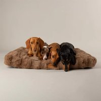 Лежак Scruffs Alpine 829788 (коричневый)