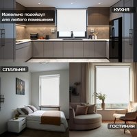 Рулонные шторы Sundays Home Твид 48х160 (белый)