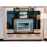 Стенка Заречье Сона (зебрана сахара-дуб венге) в Лиде