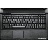 Ноутбук Lenovo G565 (59055589)