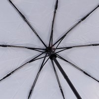 Зонт Rain Berry Колесо обозрения 734-23341.3