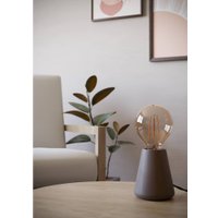 Настольная лампа Eglo Asby 44015