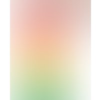 Фаллоимитатор Lovetoy Prider Dildo 23 см LV410028