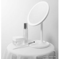 Косметическое зеркало Doco Daylight Mirror Pro HZJ001 (белый)
