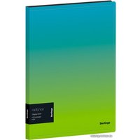 Папка для бумаг Berlingo Radiance DB4_30003 (голубой/зеленый)