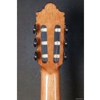 Акустическая гитара Camps SP-6-S