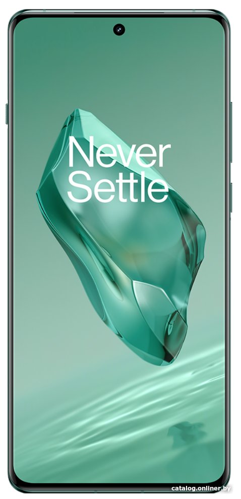 OnePlus12 グリーン 16GB 512GB OnePlus 12 16GB/512GB китайская версия (зеленый) телефон купить в