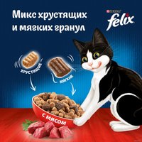 Сухой корм для кошек Felix Двойная вкуснятина с мясом 600 г в Гомеле
