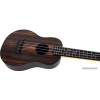 Укулеле Flight TUC-55 Amara в Гомеле