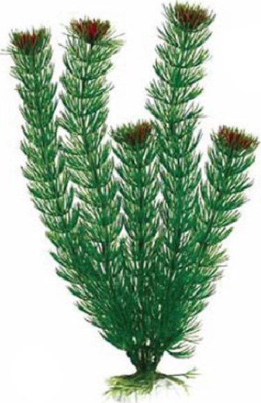 

Искусственное растение Barbus Амбулия Plant 002/20 (зеленый)