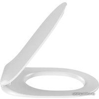 Сиденье для унитаза Jacob Delafon Cleo E24048-0