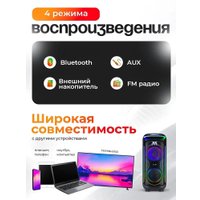 Патибокс Eltronic 30-29 Dance Box 1000