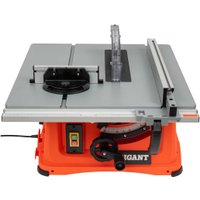 Распиловочный (циркулярный) станок Gigant TSJ-254-2050 в Бресте