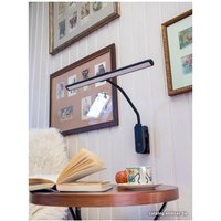 Настольная лампа Lucia Flex Accu Clip L555 (черный)