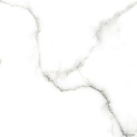 Керамогранит (плитка грес) Netto Carrara Polished 600x600